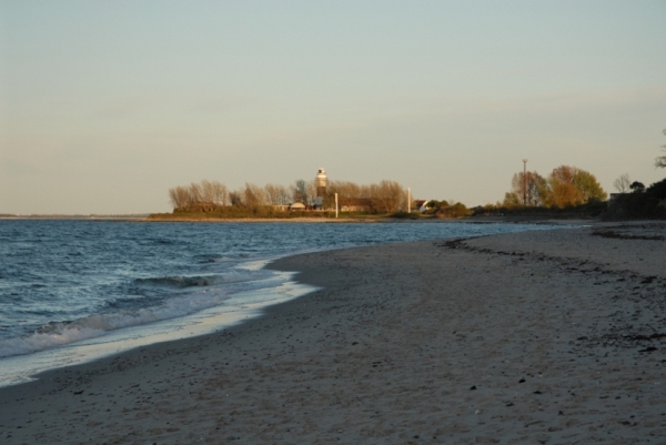 Bild8