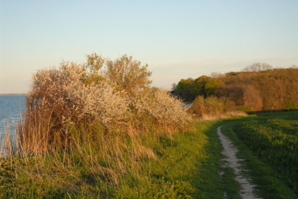 Bild10