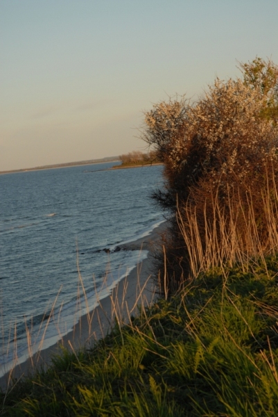 Bild11
