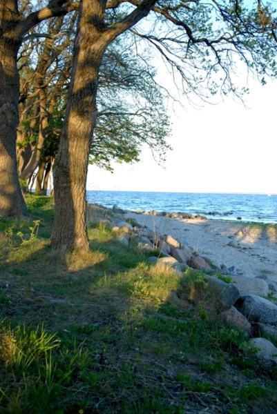 Bild6