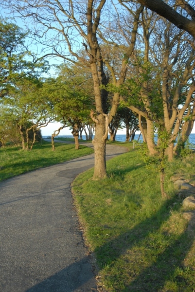 Bild7