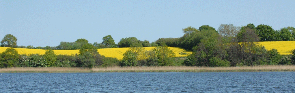 Schlei