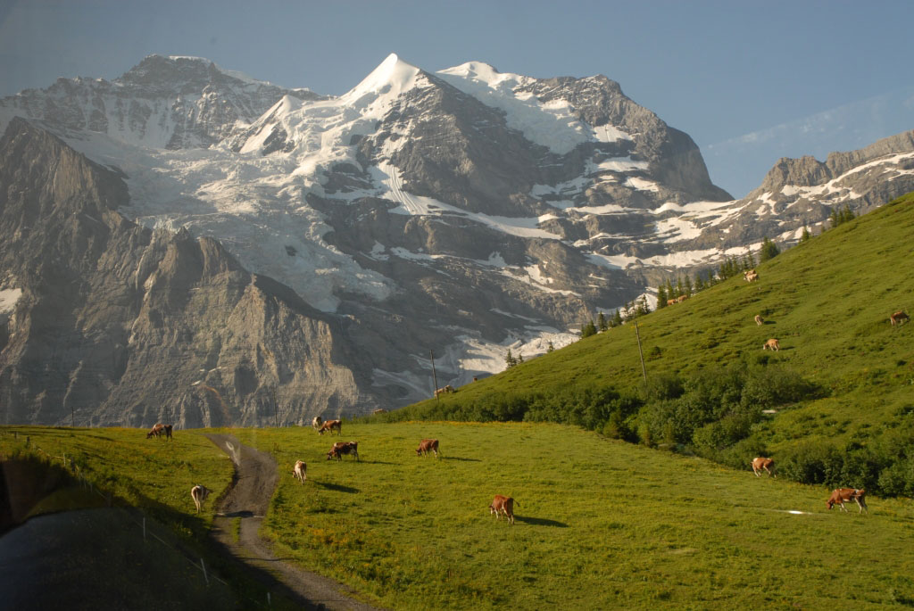 Jungfrau Region