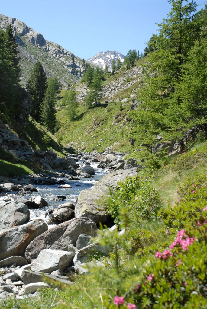 Wanderung im Cogne Tal